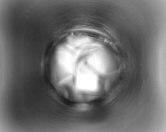 X0000088130265200706041324