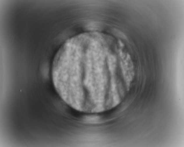 X0000088130266200706041324