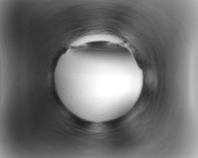 X0000088130269200706041324