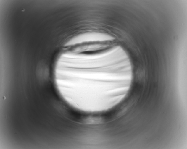 X0000088130270200706041324