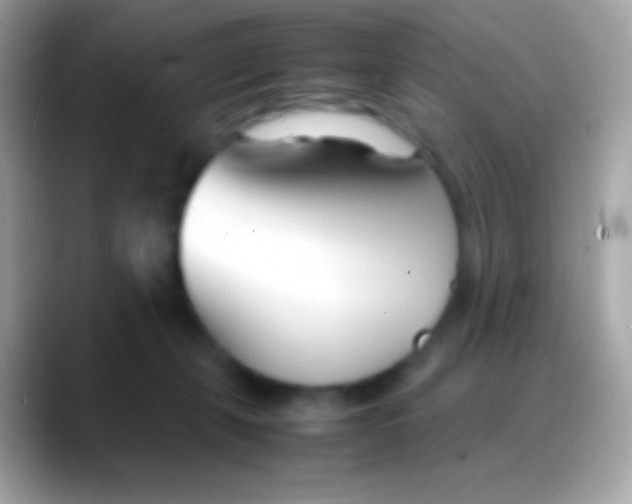 X0000088130271200706041324