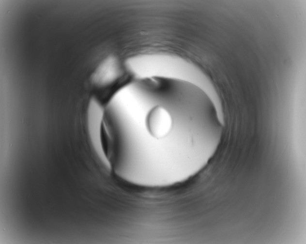 X0000088130272200706041324