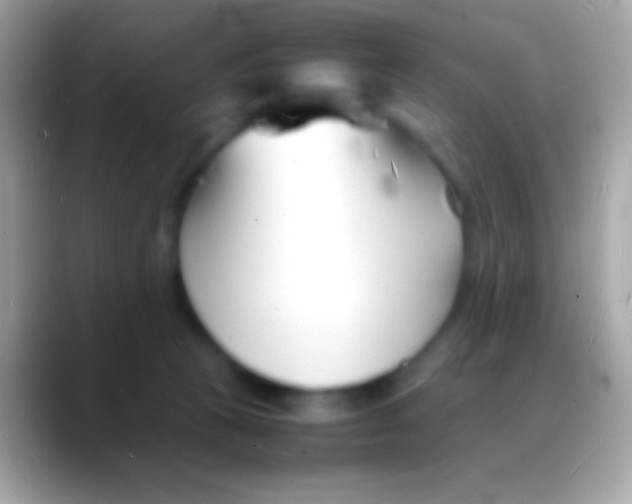 X0000088130273200706041324