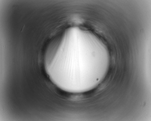 X0000088130274200706041324