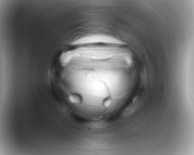 X0000088130278200706041324