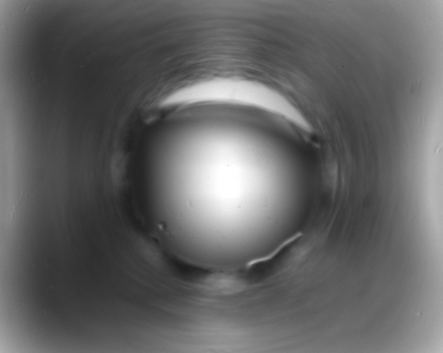 X0000088130280200706041324