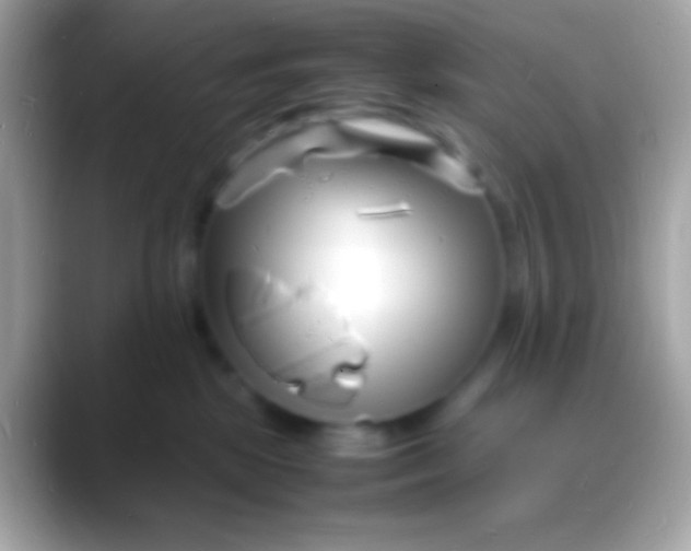 X0000088130281200706041324