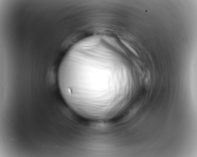 X0000088130282200706041324