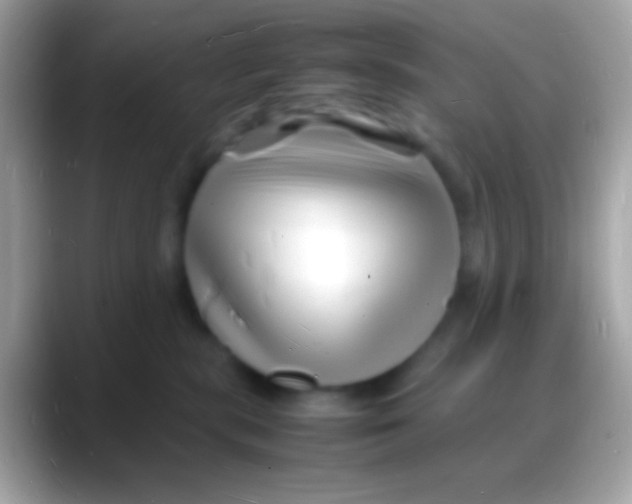 X0000088130283200706041324