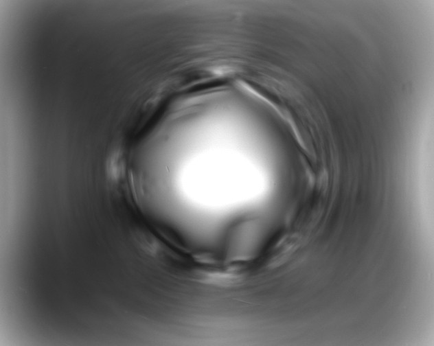 X0000088130284200706041324