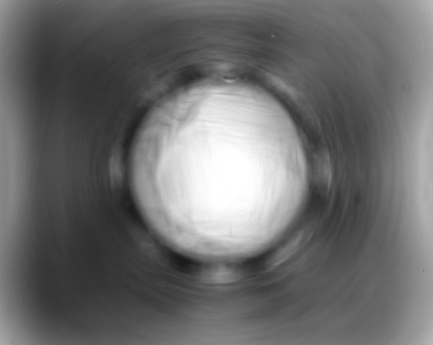 X0000088130287200706041324