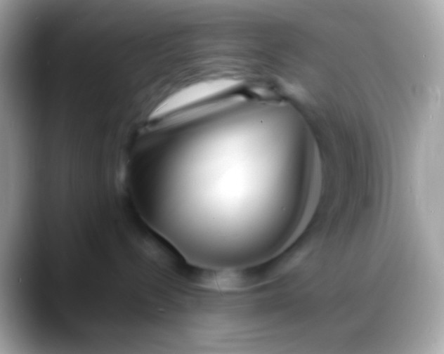 X0000088130288200706041324