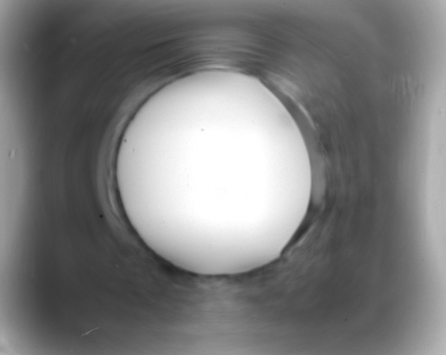 X0000088130289200706041324