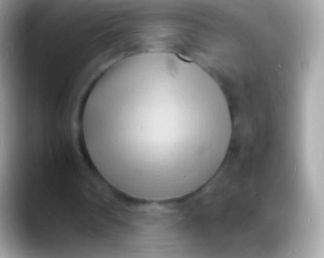 X0000088130290200706041324