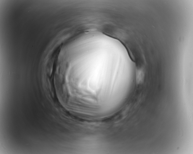 X0000088130291200706041324