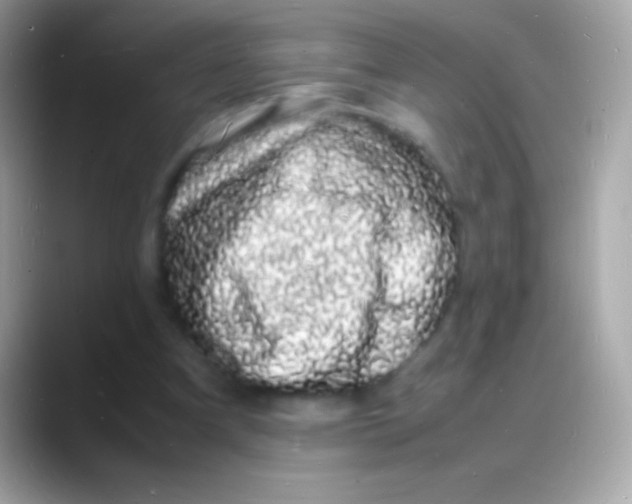 X0000088130297200706041324