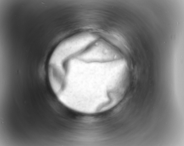 X0000088130298200706041324