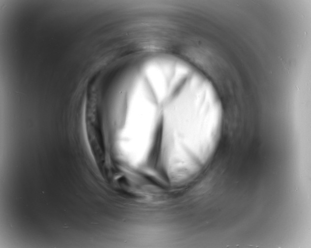 X0000088130299200706041324