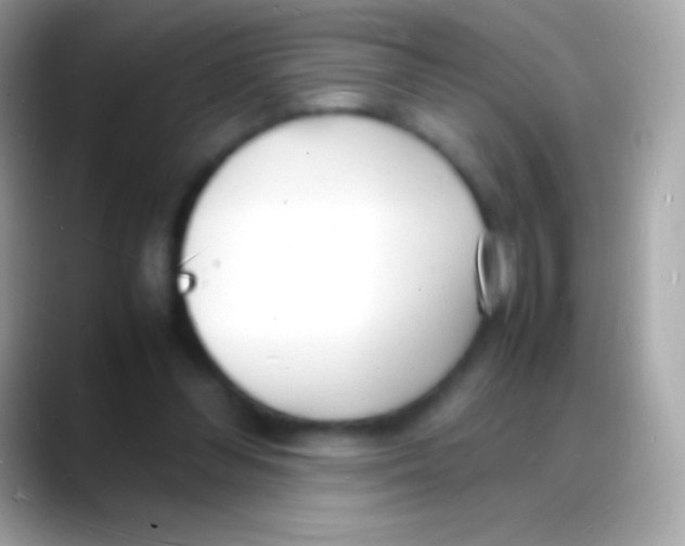 X0000088130300200706041324