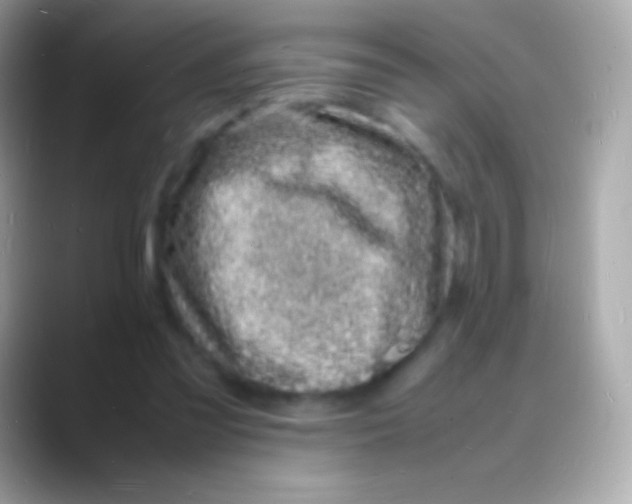 X0000088130301200706041324