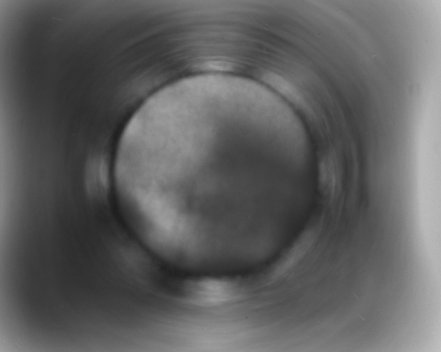 X0000088130302200706041324