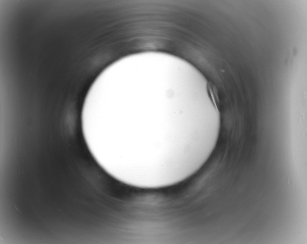 X0000088130304200706041324