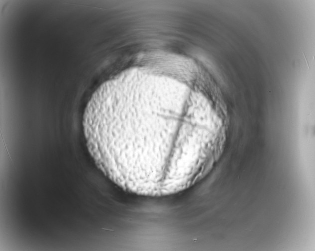 X0000088130305200706041324