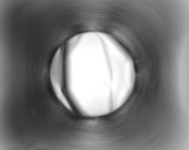 X0000088130306200706041324