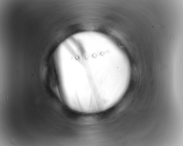 X0000088130307200706041324