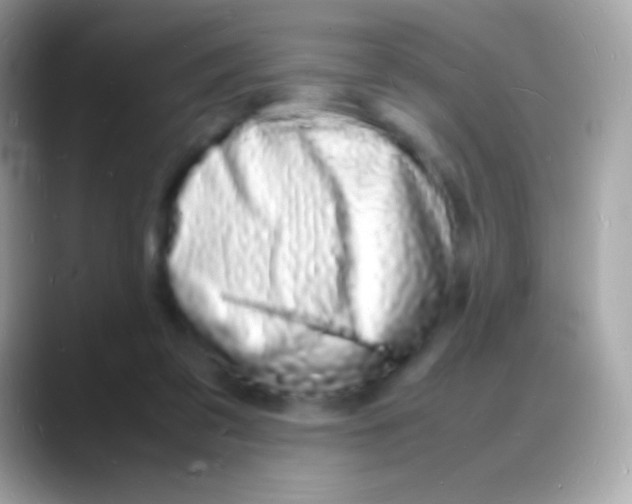 X0000088130309200706041324