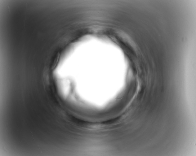 X0000088130313200706041324