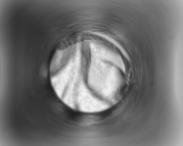 X0000088130315200706041324