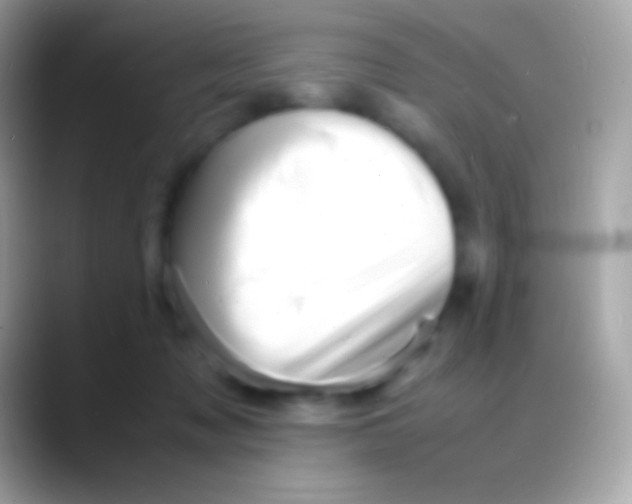 X0000088130317200706041324