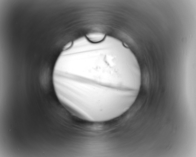 X0000088130318200706041324