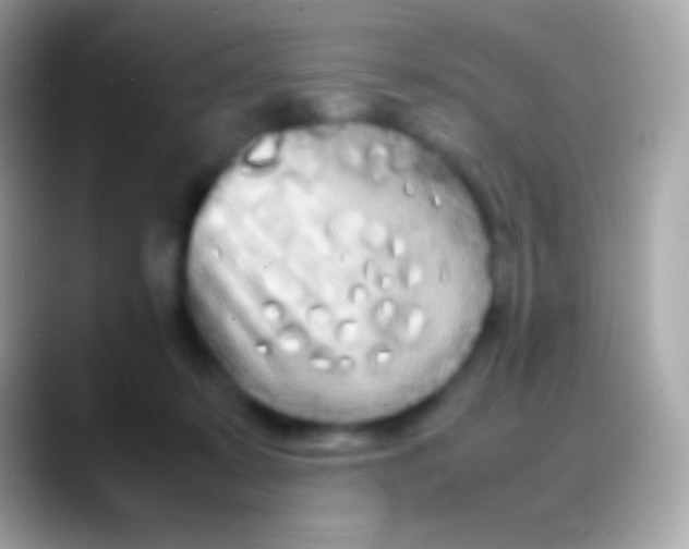 X0000088130319200706041324