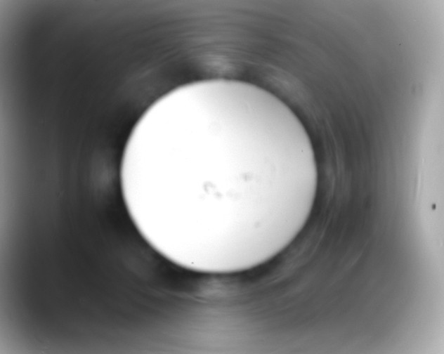 X0000088130320200706041324