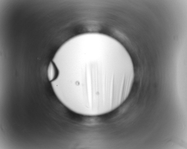 X0000088130321200706041324