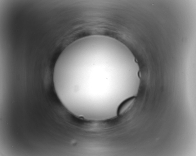 X0000088130323200706041324