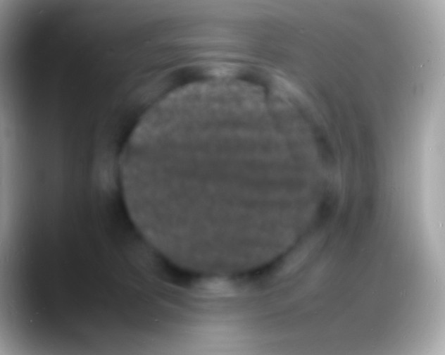 X0000088130325200706041323