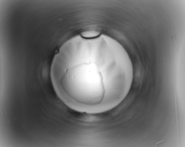 X0000088130326200706041323