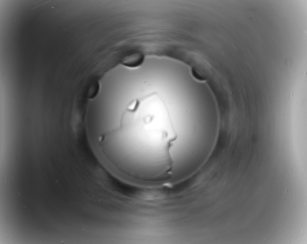 X0000088130327200706041323