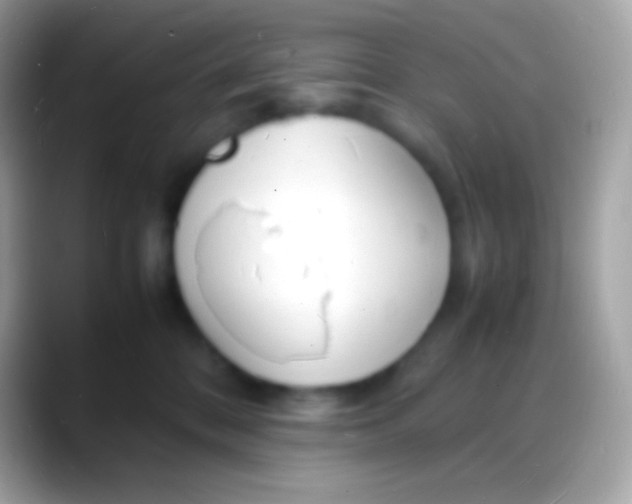 X0000088130328200706041323