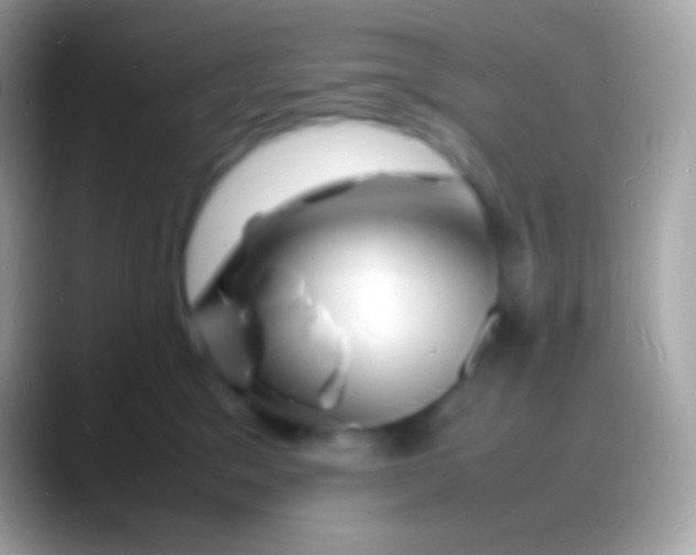 X0000088130329200706041323