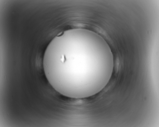 X0000088130330200706041323