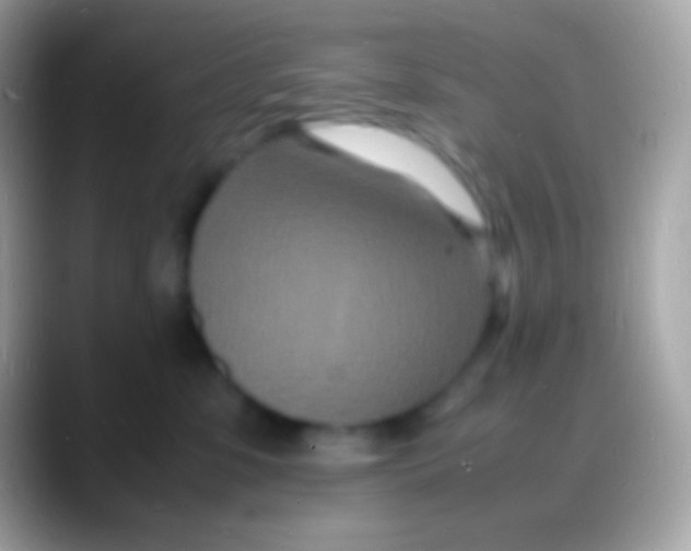 X0000088130331200706041323