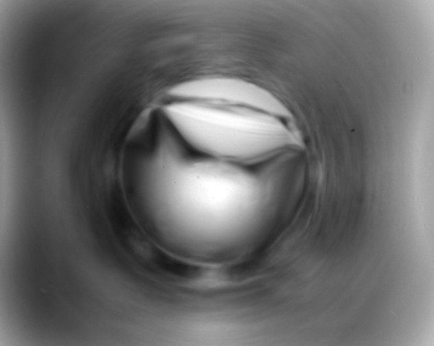 X0000088130335200706041323