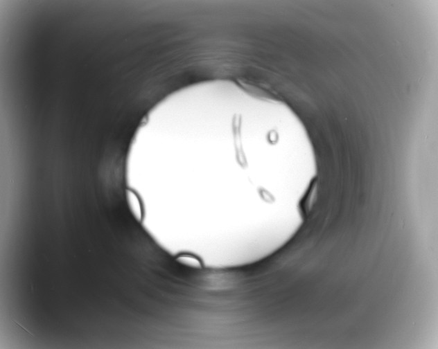 X0000088130336200706041323