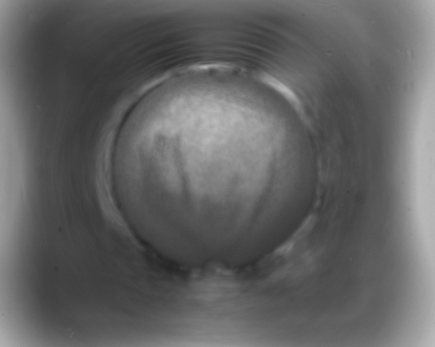 X0000088130337200706041323