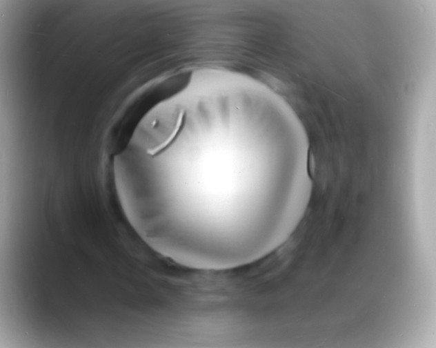 X0000088130338200706041323