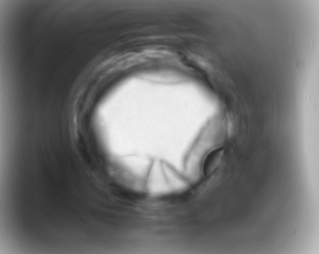 X0000088130339200706041323